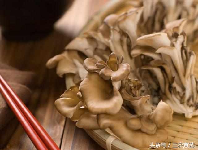 中国山里常长的东西，日本教授证实抑制癌细胞高达90%