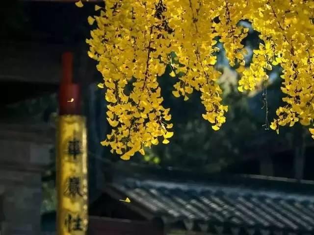 南朝四百八十寺，江苏最美古刹，国庆走一走