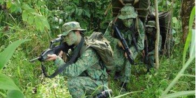 自己家地方小那就搞“扩张”，新加坡才是亚洲军事界的隐形富豪