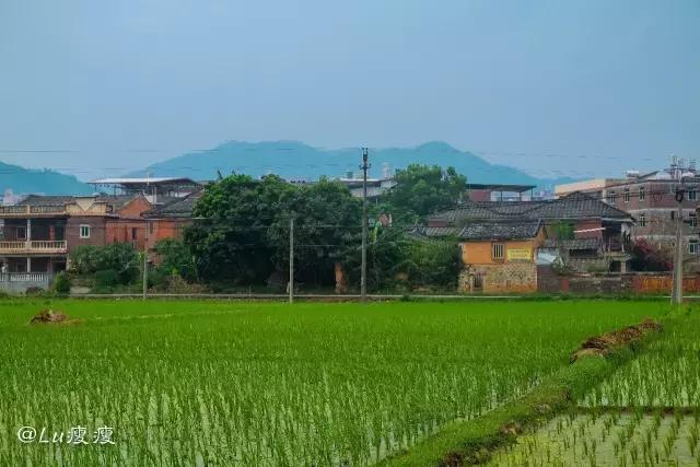 泉州古厝｜探寻“印尼糖王”黄奕住的南安古宅