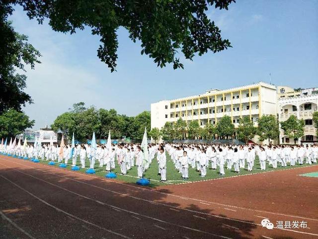 太极演练扎堆“狂欢”，热潮一浪再高一浪