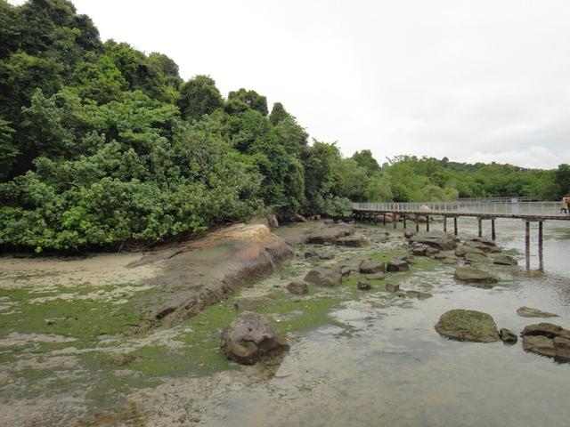 我的漫行画册 新加坡乌敏岛游玩 体验田园乡村的质朴生活