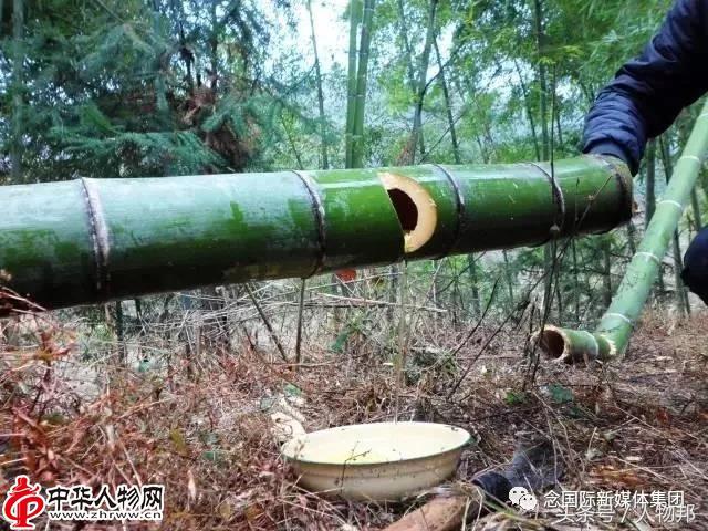 《人物有约》告诉你——新加坡也可以喝到竹酒了