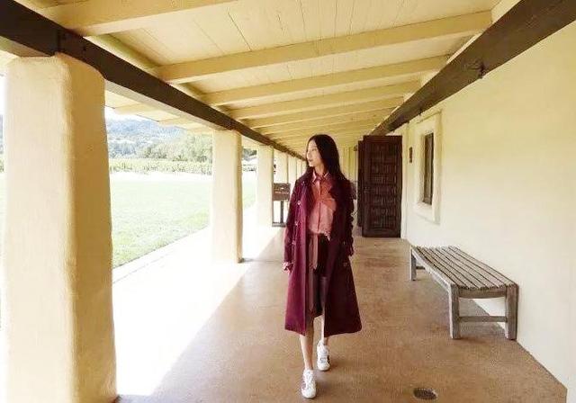 美国旅行（中）：在纳帕谷，看看成片的葡萄庄园，品醇香葡萄酒
