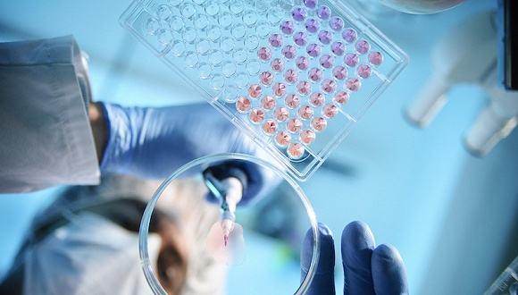 马兜铃酸致肝癌？这类中药到底安不安全，国家食药总局回应