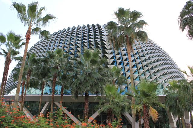 我的游玩画册 参观新加坡滨海艺术中心 欣赏“榴莲”造型独特外观