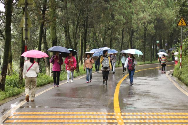 雨中秀丽的昆明西山森林公园