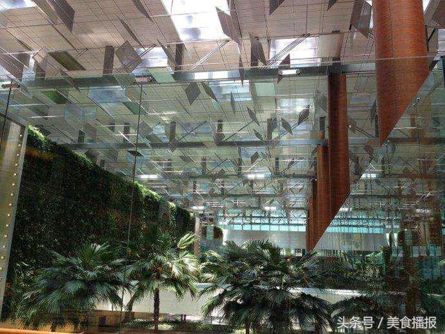 新加坡樟宜国际机场，这么多免费的，你知道吗