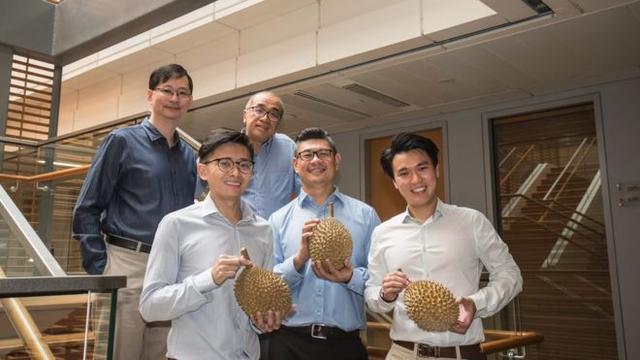 新加坡科学家揭示了榴莲的刺鼻气息