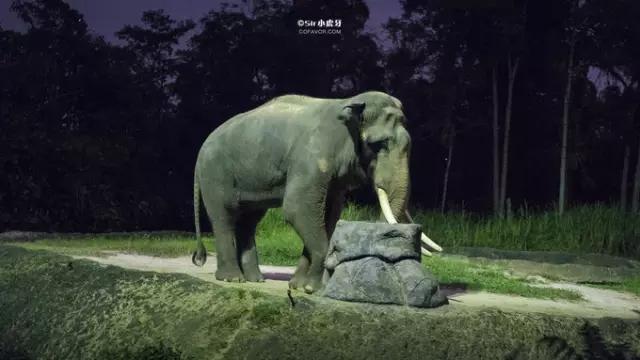 全亚洲最适合亲子游的国家，它排第二，没人敢称第一！