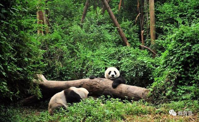 十一出游，朋友圈都在晒这些地方