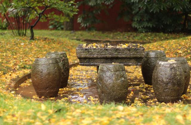 雨中秀丽的昆明西山森林公园