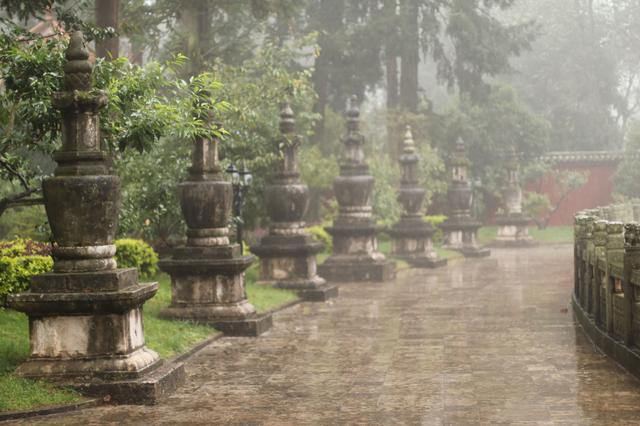 雨中秀丽的昆明西山森林公园