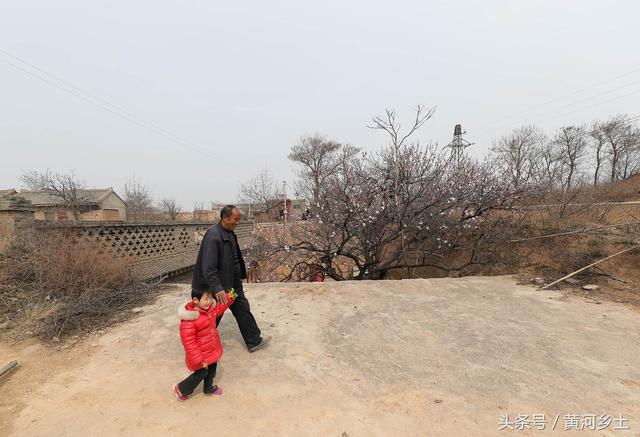 这是一张什么样照片让其在15万多张照片中突围并斩获唯一特等奖