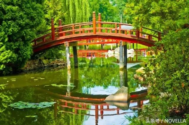 日本庭园火遍全球？可与中国园林论长短