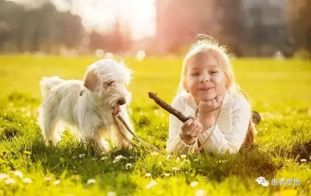 人在养狗，但其实是狗驯化了人！