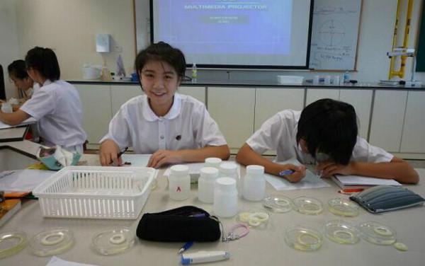 新加坡小学打造科学月活动，让孩子在鲜活的生活里探索科学的踪迹