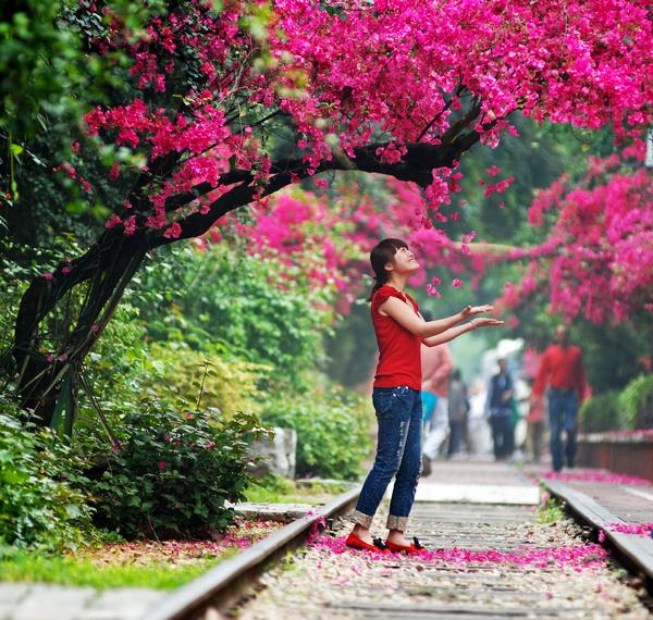 美到令人窒息的海上花园——鹭岛厦门