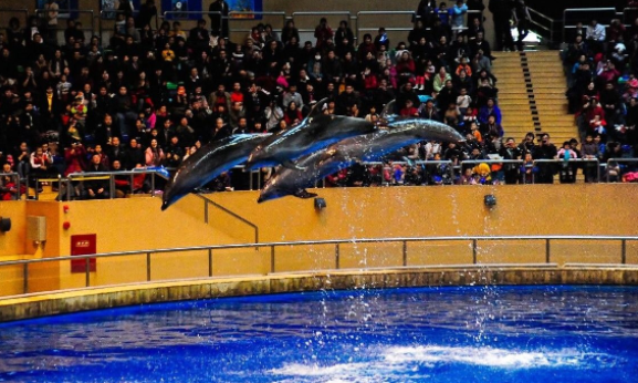 北京附近所有海底世界汇总，有小孩的要收藏