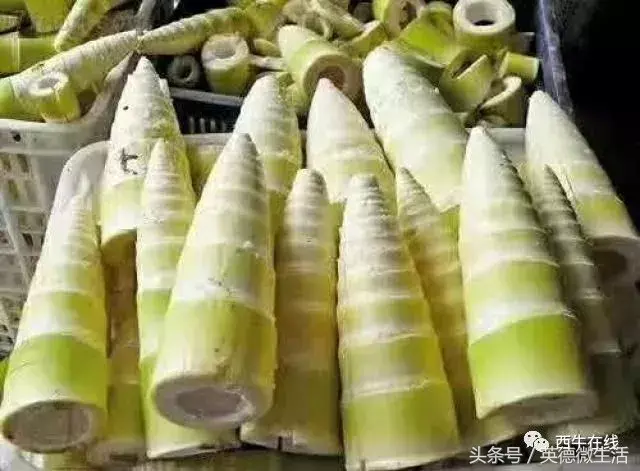 英德这件“宝”了不得！出口货值达5600多万美元……
