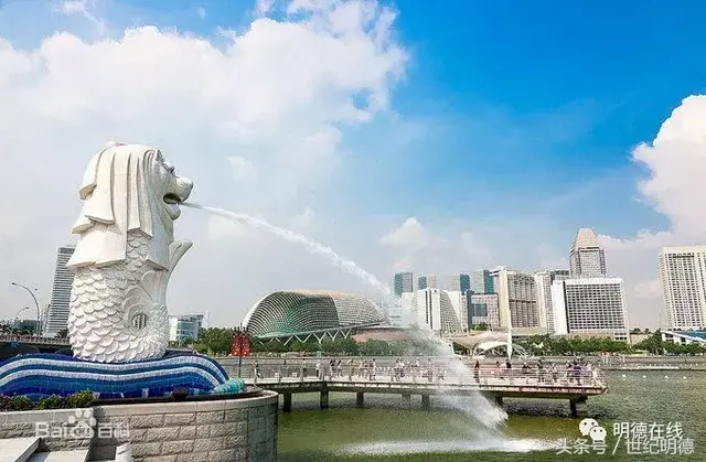 征文获奖文章丨新加坡游学之旅