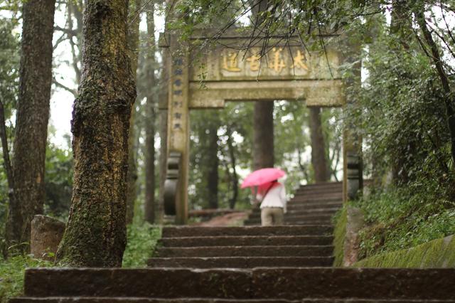 雨中秀丽的昆明西山森林公园