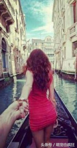 养了宠物后，为什么别人的周末是这样的？而你是这样的……