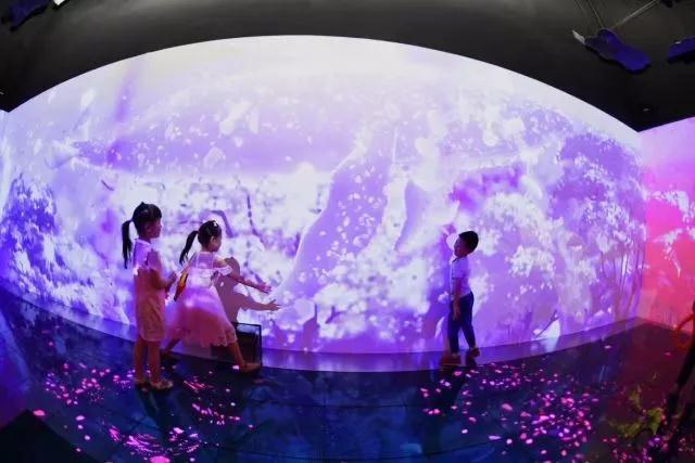 无处不在的水族艺术——水族展示的“跨界”运用