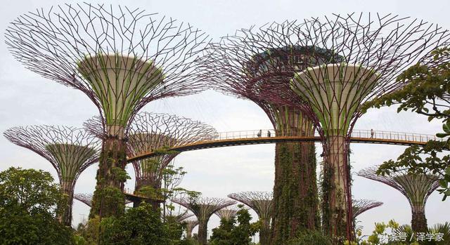 伊甸园：世界上10个美丽的花园，中国一处上榜，新加坡最有特色