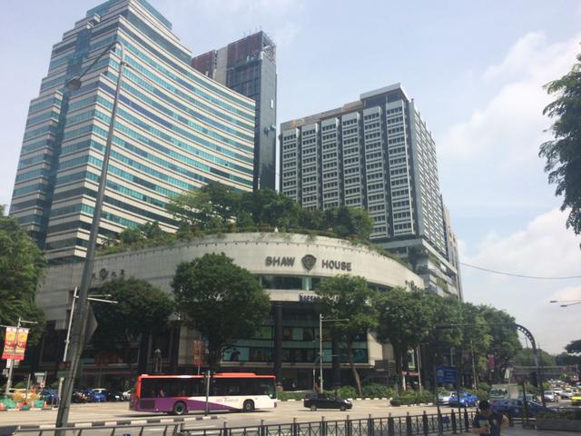 新加坡之旅——老人