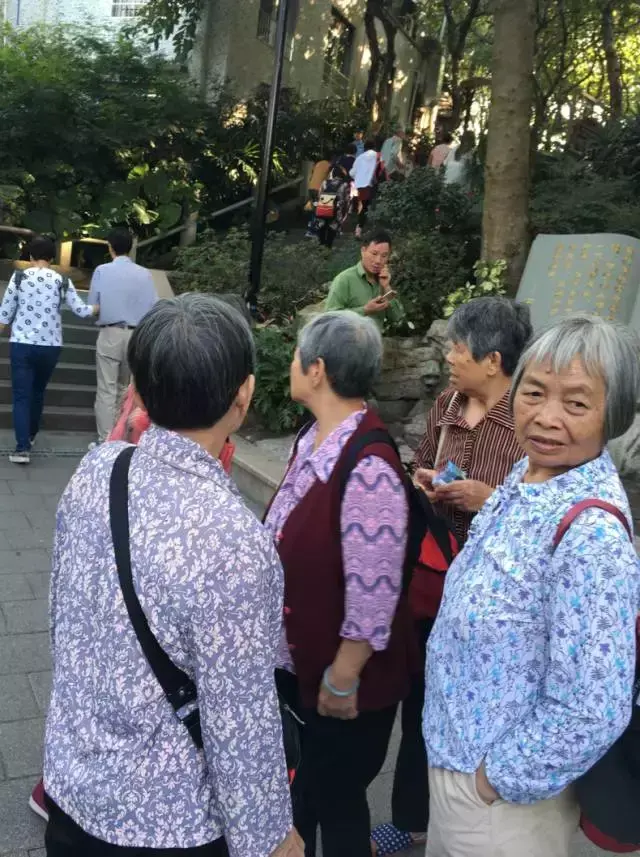 岁月无情，人间有爱；广州重阳，花城+有你