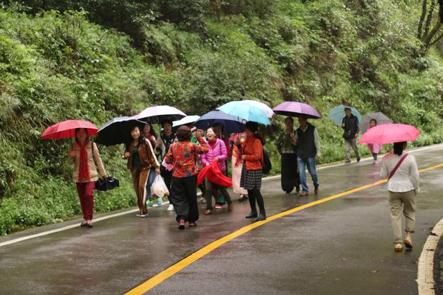 雨中秀丽的昆明西山森林公园