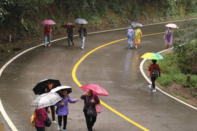 雨中秀丽的昆明西山森林公园