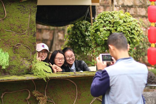 雨中秀丽的昆明西山森林公园