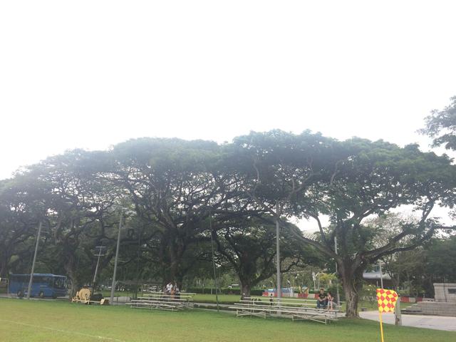 新加坡之旅——文明