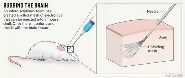 你的 AI 永远不会伤害你？你的隐私可能不这样认为