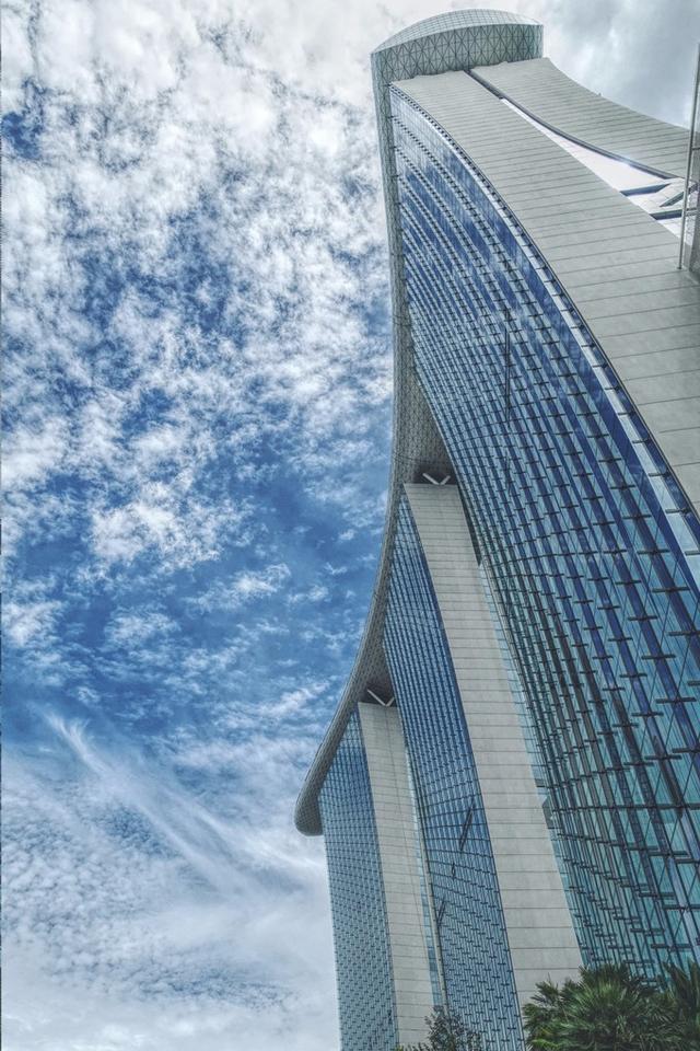 旅途随笔 游新加坡海湾花园 这里树木植物也格外的茂盛美丽