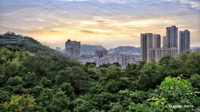 中国最美的空中森林步道，花费上亿打造，免门票风景如画