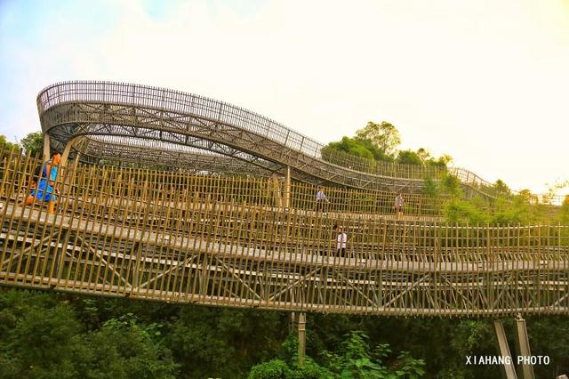 中国最美的空中森林步道，花费上亿打造，免门票风景如画