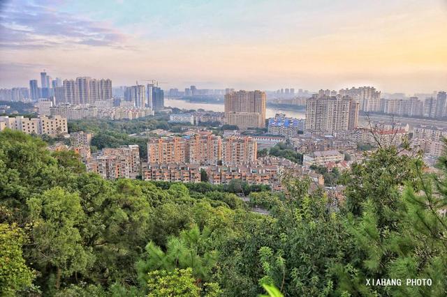 中国最美的空中森林步道，花费上亿打造，免门票风景如画