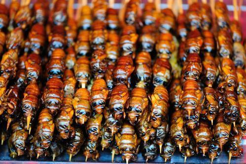 勇气测试帖！看云南人吃虫吃到你全身酥麻心惊胆战