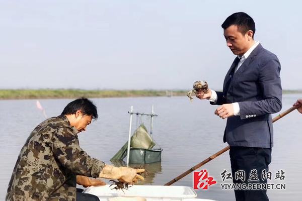 一只螃蟹引发的大通湖“少爷”创业路