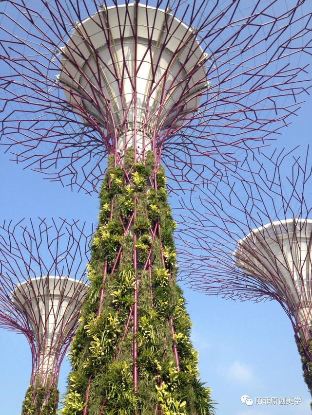 新加坡的海湾空中花园，好美！