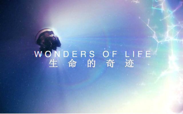 生命的奇迹