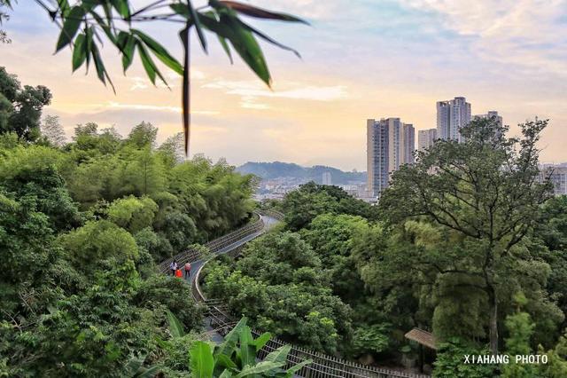 中国最美的空中森林步道，花费上亿打造，免门票风景如画