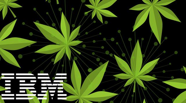 IBM：区块链可能用于追踪加拿大的大麻销售情况