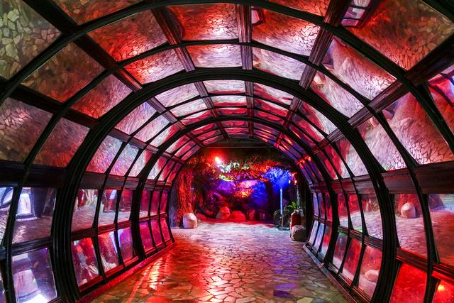 回不去的故乡之烟台蓬莱