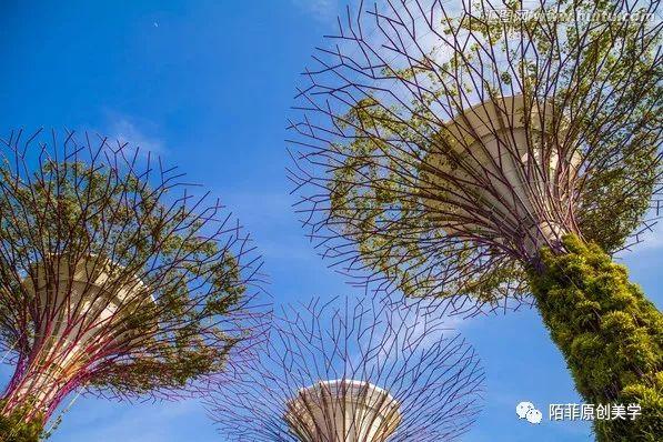 新加坡的海湾空中花园，好美！