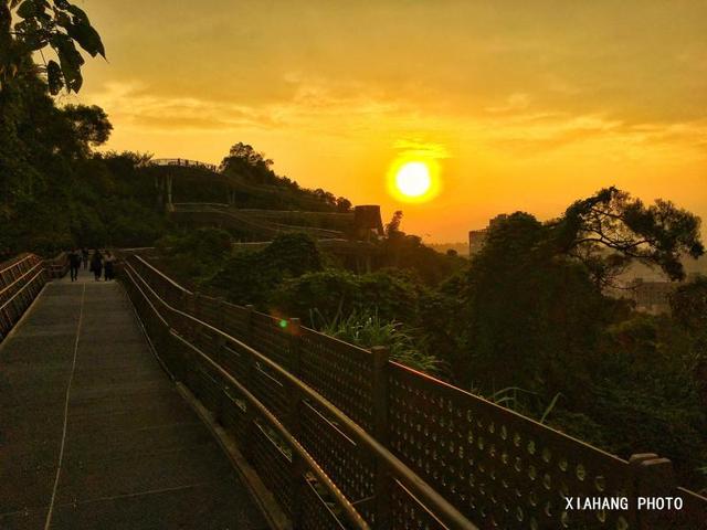 中国最美的空中森林步道，花费上亿打造，免门票风景如画