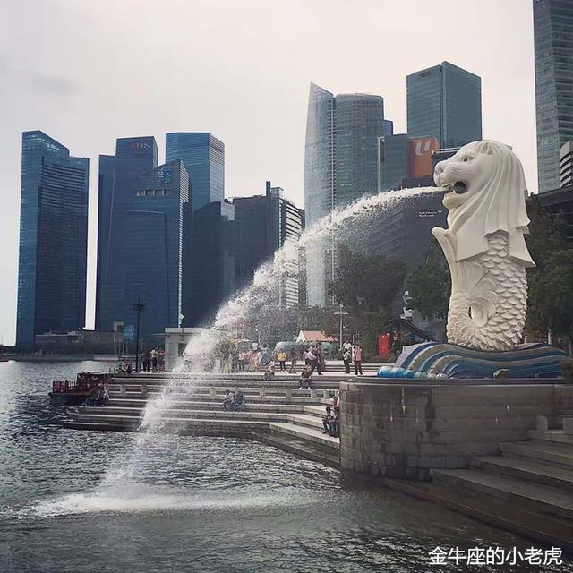 白天不懂夜的黑——你好，新加坡！